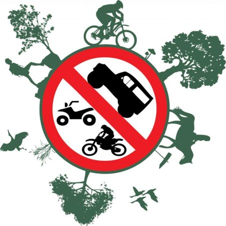 День без автомобиля