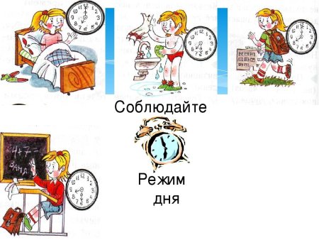Распорядок дня рисунок
