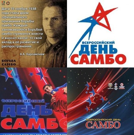 Всероссийский день самбо