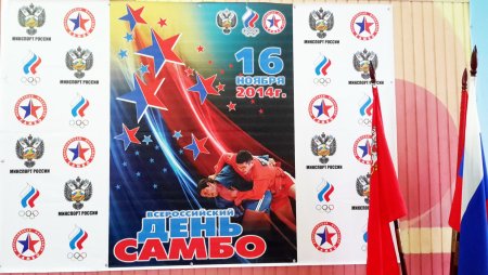 Всероссийский день самбо