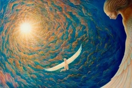 Картина жизнь