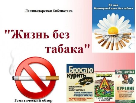 Всемирный день без табака лозунги