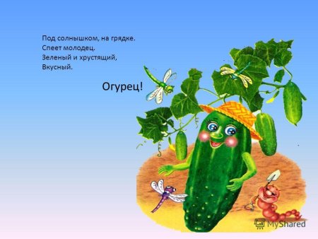 Стих про огурец