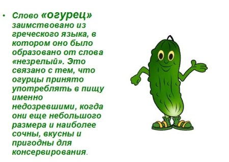 Интересные факты об огурцах