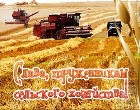 С днем сельского хозяйства и перерабатывающей промышленности