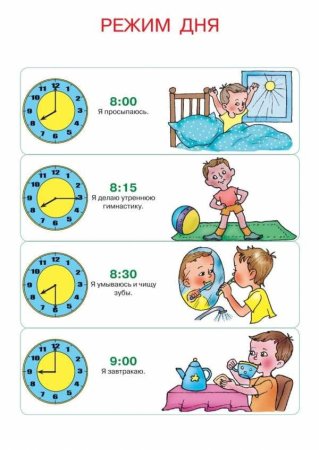 Распорядок дня ребенка