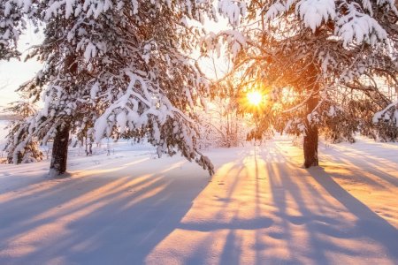 Зимний день