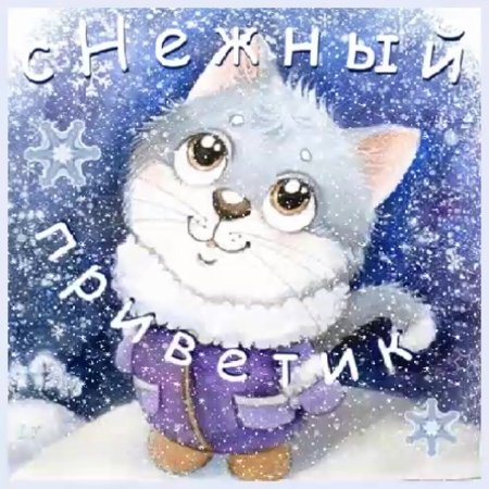 Кот снежок