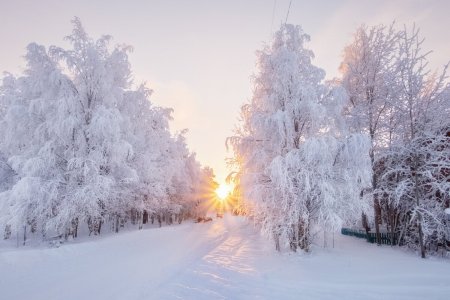 Утро зима