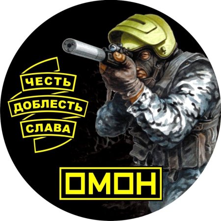 Силовики карикатура