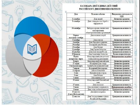 РДШ направления деятельности в школе