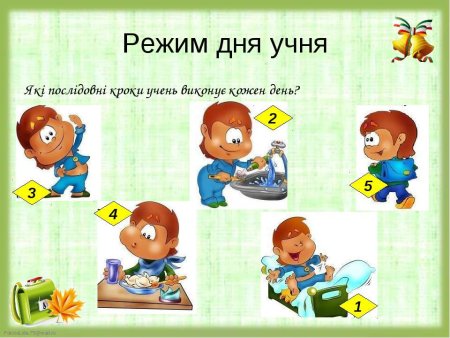 Распорядок дня