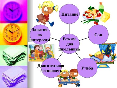 Распорядок дня школьника в картинках