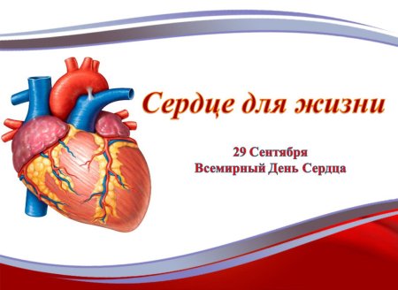 Всемирный день сердца