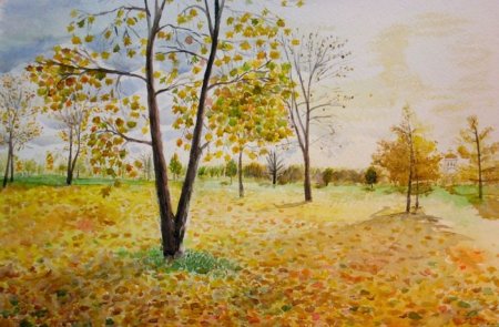 Золотая осень пейзаж для детей