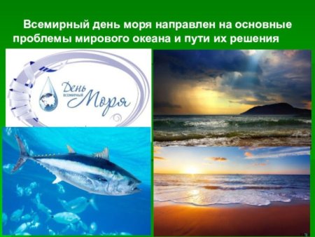 Сохраним черное море