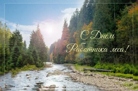 Профессия Лесник рисунок