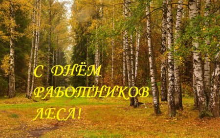 Поздравление с днем работника леса