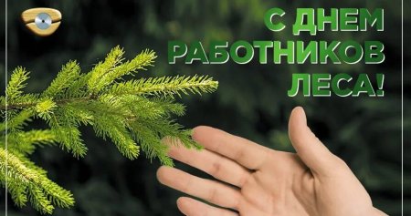С днем работника леса