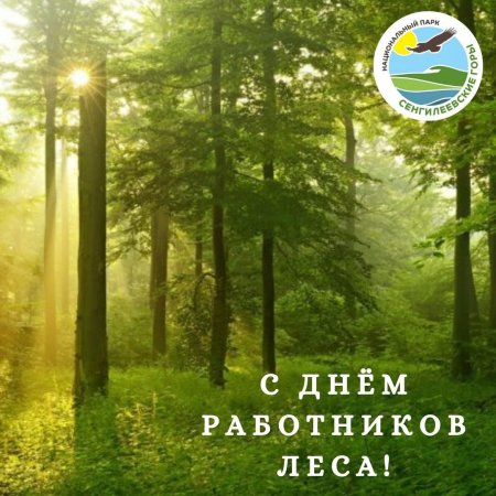 День работников леса и лесоперерабатывающей промышленности