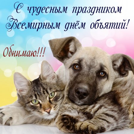 21 Января Международный день объятий