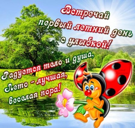 С летом поздравления