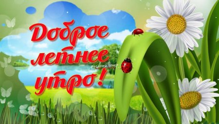 С летом поздравления