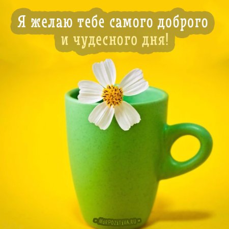 Пожелания доброго дня