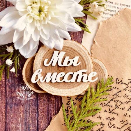 История нашей жизни