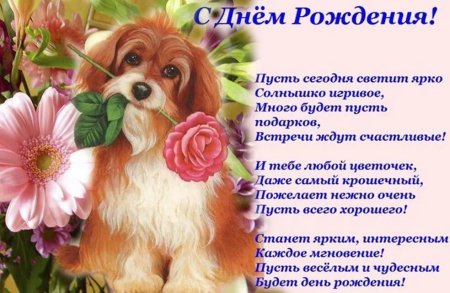 Поздравления внучке с днем рожде