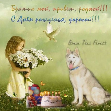 Открытка любимому братику