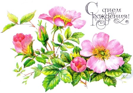 Нарисовать цветы на день рождения