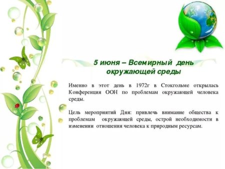 Деньщашиты окружающей среды