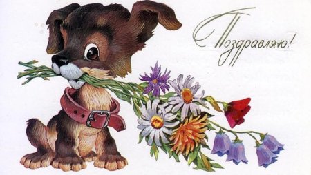 Поздравительная открытка