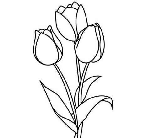 Цветы рисунок на день матери тюльпаны (47 фото)