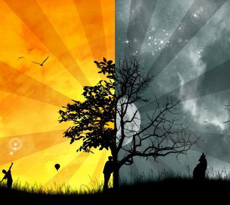 Дерево день и ночь