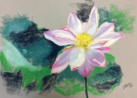 Цветы пастелью для начинающих