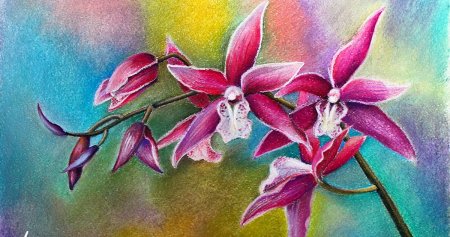 Кот восковыми мелками