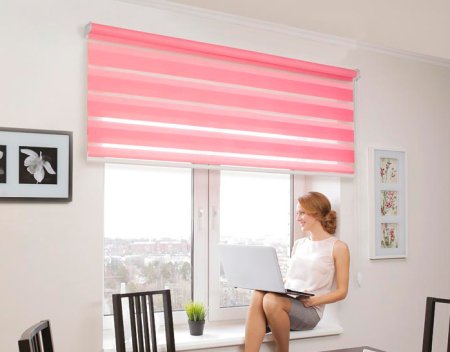 Рулонные шторы Зебра день-ночь