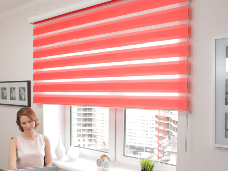 Рулонные шторы Зебра день-ночь