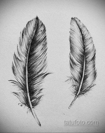 Перышко эскиз