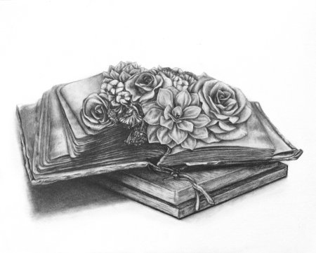 Книжные рисунки карандашом