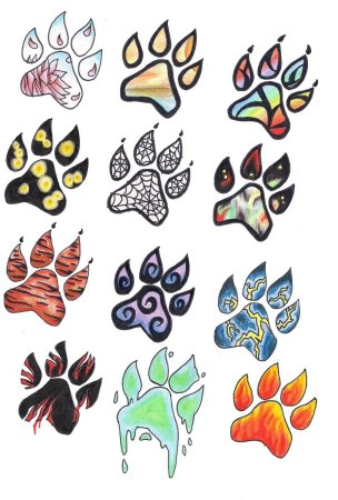 Эскиз лапки