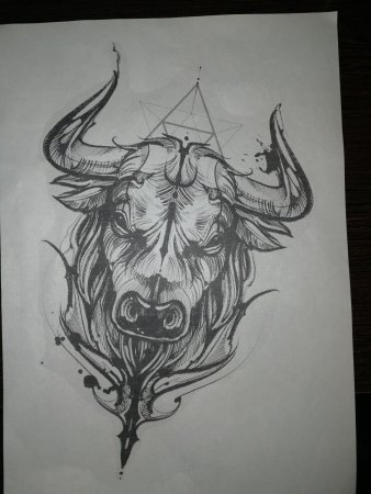 Телец эскиз