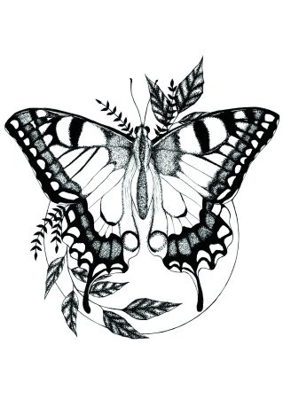 Бабочка тату черно белая