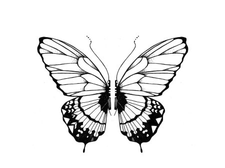 Бабочка тату эскиз