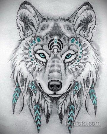 Волк рисунок