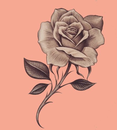 Эскизы татуировок розы