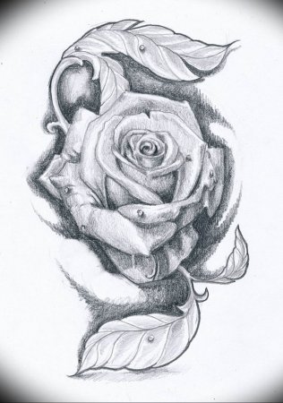 Эскизы татуировок розы