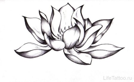 Цветок лотоса тату эскизы